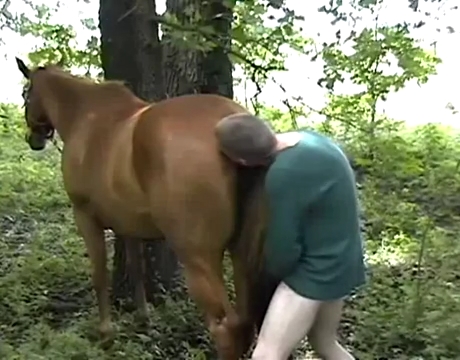 森の中の男はペニスで馬をファック、馬の無料ポルノダウンロード